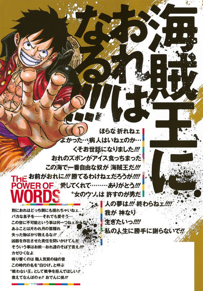 Back Cover of One Piece Magazine Vol. 11. Image Source: Shueisha